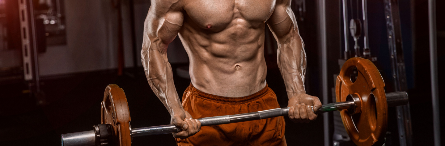 Guide til din biceps træning - biceps - bicepscurl